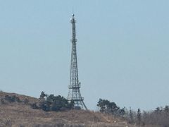 -仙人岛