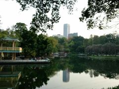 -晓港公园