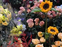 -越秀西湖花市(广州城市广场花卉店)