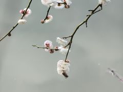 -张公山寨景区