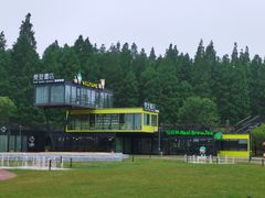 -黄海国家森林公园