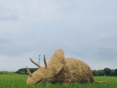 -嘉北郊野公园