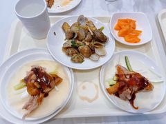 -碧中海汤泉汗蒸酒店