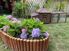 -昱南托育园.托班晚托.寒暑假班