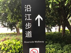 -北外滩滨江绿地