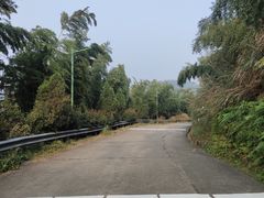 -长沙黑麋峰国家森林公园