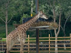 -水上乐园·欢乐世界