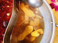 -肥羊坊火锅餐厅(新兴南路店)