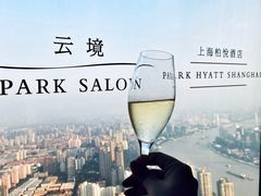 -上海柏悦酒店