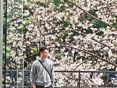 -南京晨光1865创意产业园