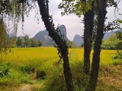 -靖西鹅泉风景区