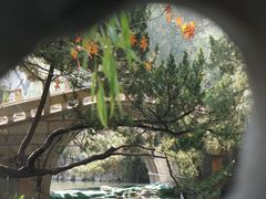 -上海醉白池公园