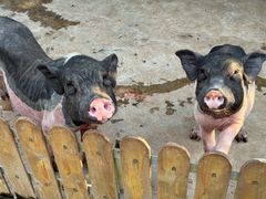 -白沙门生态公园