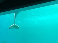 -石林冰雪海洋世界