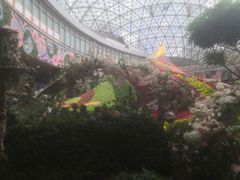 -花之城