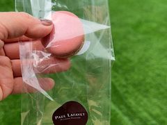 -PAUL LAFAYET 法式甜品(国金中心商场店)