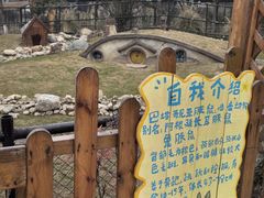 -祥源·阜阳生态乐园