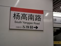 -杨高南路(地铁站)