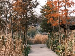 -南北湖风景区