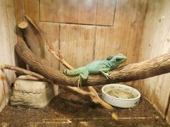 -上海大自然野生昆虫馆
