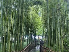 -成都杜甫草堂博物馆