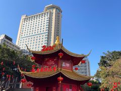 -越秀西湖花市(广州城市广场花卉店)