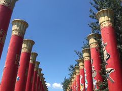 -奥林匹克森林公园南门-停车场