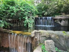 -沈阳植物园