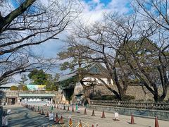 -名古屋城