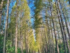 -滨海高尔夫俱乐部