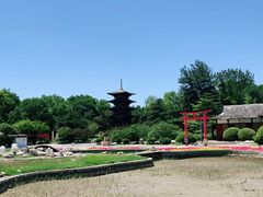 -北京世界公园