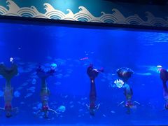 -烟台海昌鲸鲨海洋公园