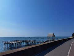 -北海金海湾红树林生态旅游区