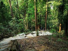 -火炉山森林公园