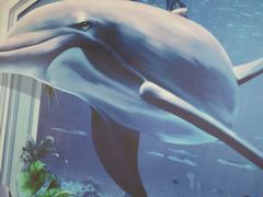 -中家鑫园温泉酒店鑫悦汤泉