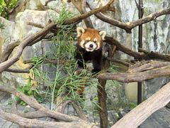 -常州淹城野生动物世界