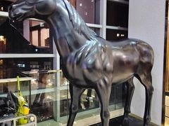 -星悦荟健身游泳(珠江新城店)