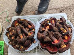 -云南木水花野生菌交易中心