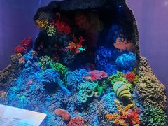 -中国湿地博物馆