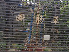 -广州神农草堂中医药博物馆