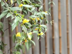 -不贰小院(余姚多元文化创意园店)