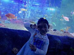 -沈阳海洋探索中心