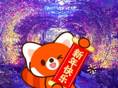 -三亚海昌梦幻海洋不夜城