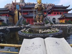 -上海东林寺(金山区)