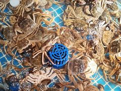 -争先鲜·蒸汽海鲜自助·鲜切牛肉
