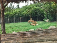 -西安秦岭野生动物园