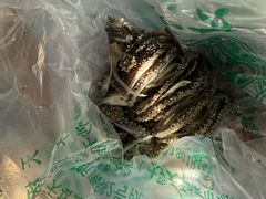 -洪记白水羊头(天坛店)