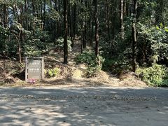 -吉林大学(前卫南校区)