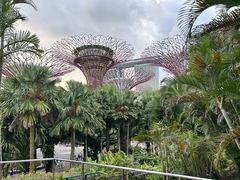 -新加坡瑞士史丹福酒店