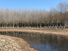 -东郊湿地公园